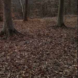 Meet your Posher, Marico